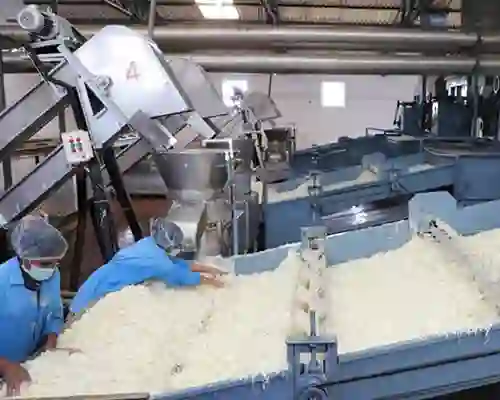 Conveyor Dryer Machine