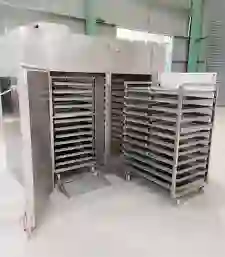 Mini Vegetable Dryer Machine