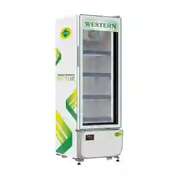 Vertical Freezer