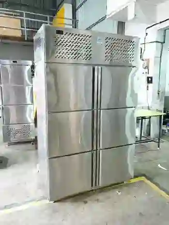 6 Door Deep Freezer
