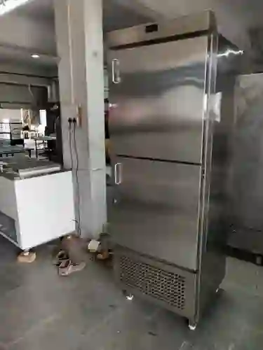 2 Door Vertical Deep Freezer