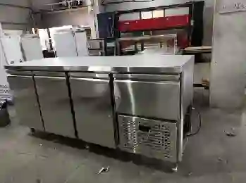 Electric SS Deep Freezer